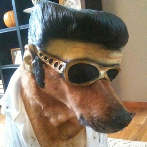 Bilibili - traphouse