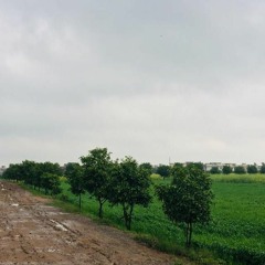 Tum Bewafa Ho Full Song Payal Dev