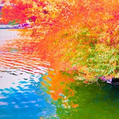 the river