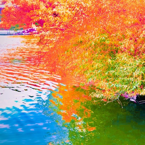 the river