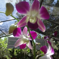 07.01.2022 - Cap. IX - Bem Aventurados os Mansos e Pacíficos - Injúrias e Violências