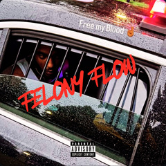 Felony Flow Freestyle