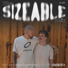 The Sizeable Mix Vol. 30: Pieter Jansen & Eversines