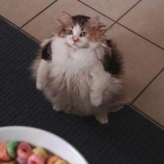 Tlačítko nad stolem