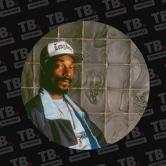 TB Free Download: Snoop Dogg - Drop It Like It's Hot (JAX CARTER Edit)