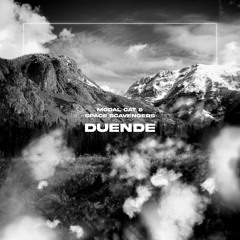 Modal Cat & Space Scavengers - Duende