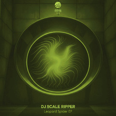 Dj Scale Ripper - Room 502