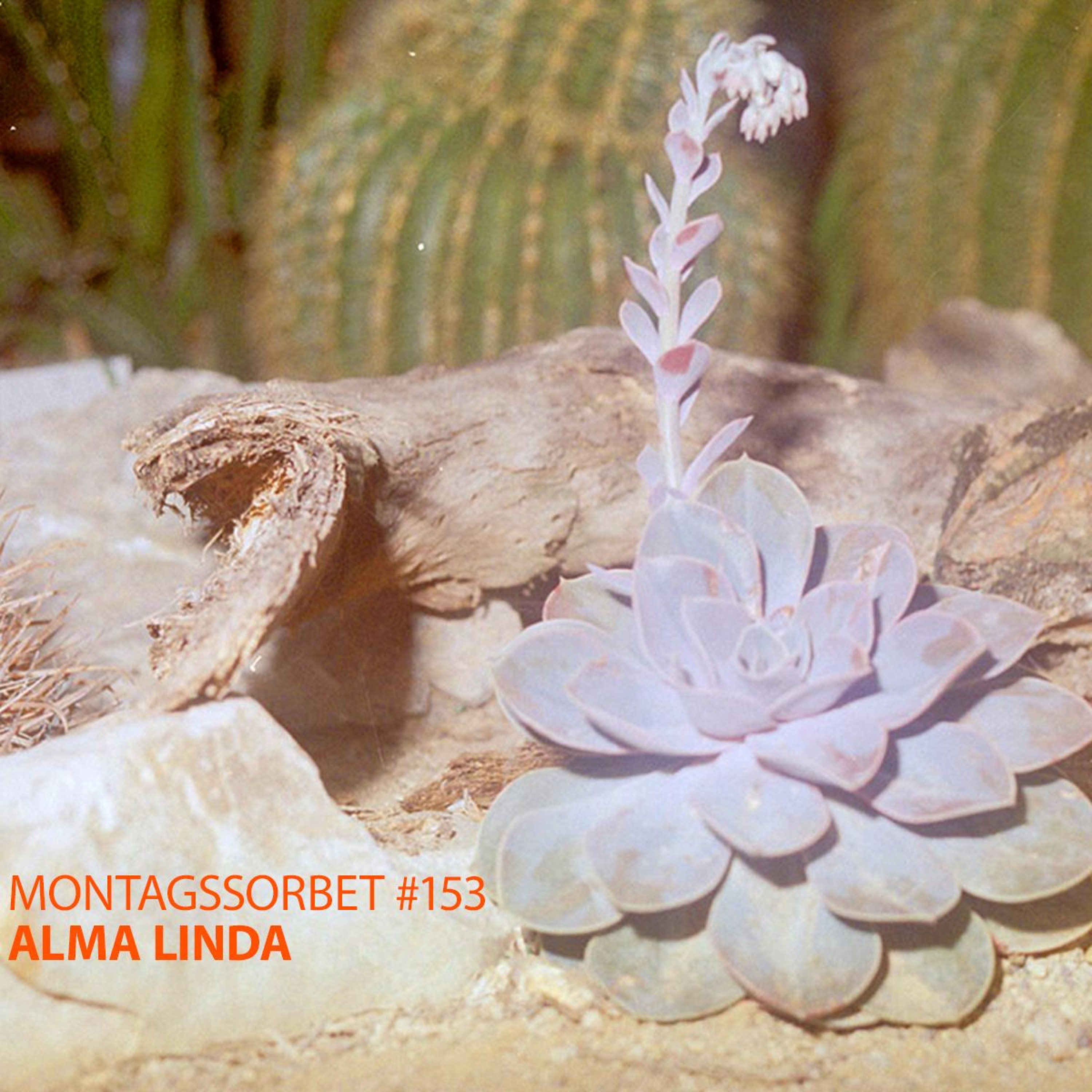 #153: Alma Linda - Montagssorbet mit Laut & Luise episode artwork