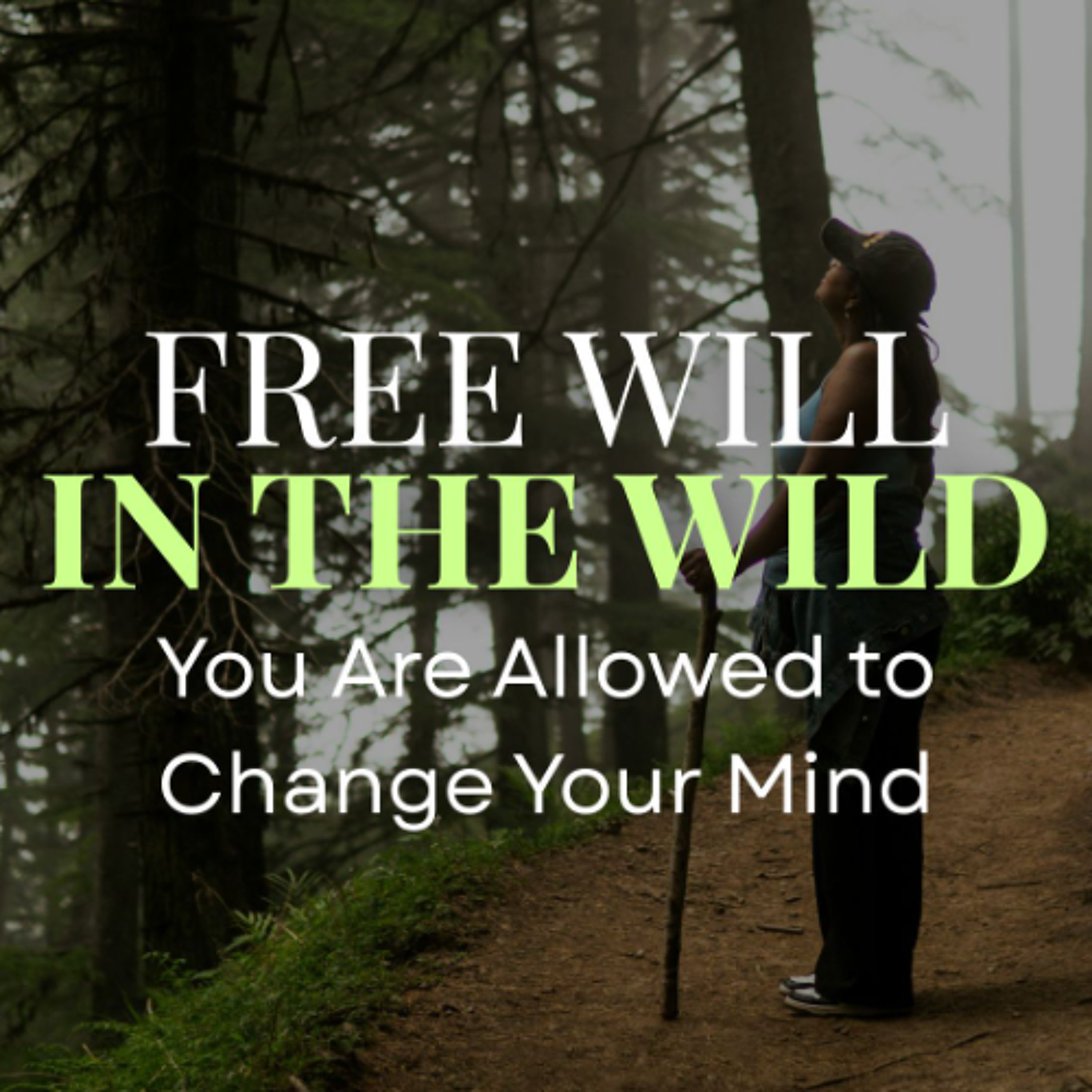 Free Will in the Wild: You Are Allowed to Change Your Mind episode artwork