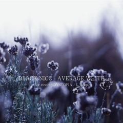 024 BLACK NICO-AVERAGE WHITE-<for circle/DYSTOPIA/L...deep>