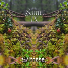 Witness