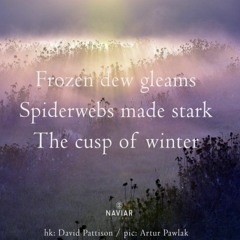 Spiderwebs Made Stark [NaviarHaiku460]