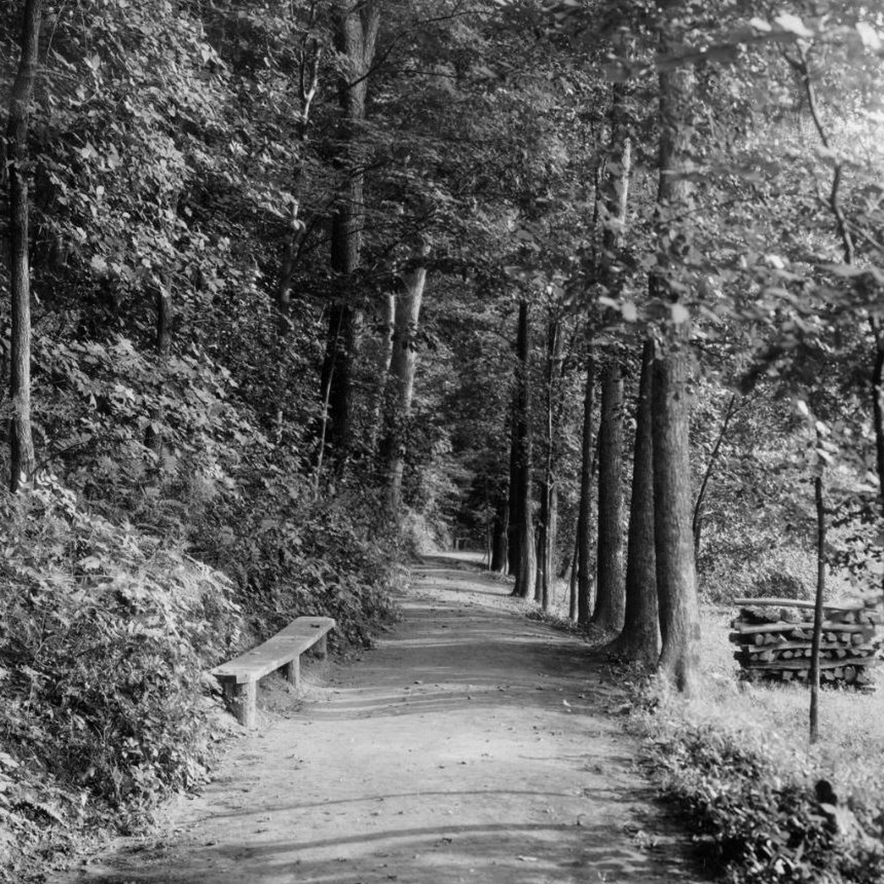 The Brattleboro Historical Society Podcast