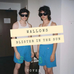 Wallows - Blister In The Sun (Cover)