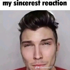 the biskit family business