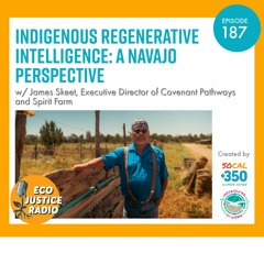 Indigenous Regenerative Intelligence: A Navajo Perspective with James Skeet