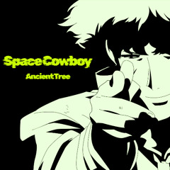 Space Cowboy