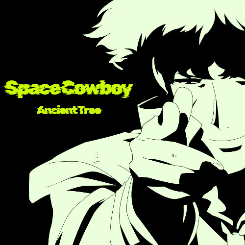 Space Cowboy