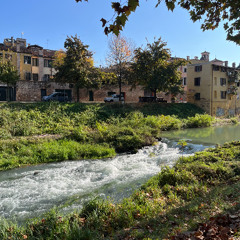 grey heron morning stretches