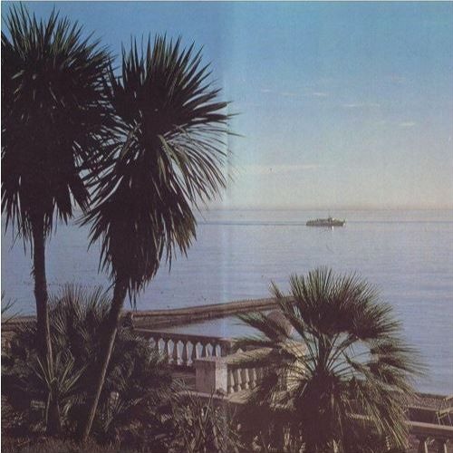 Cult Member - Fidelity (Unreleased 2020)