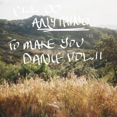 I'll Do Anything To Make You Dance Vol. II
