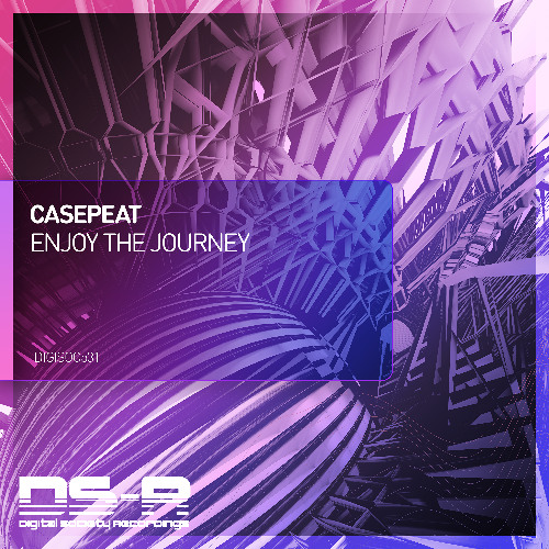 Enjoy The Journey (Extended Mix) [Digital Society Recordings (DS-R)]