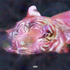 peta  (gangonhots remix) [me]