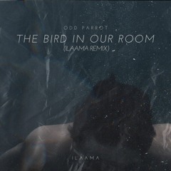 The Bird In Our Room (ILAAMA Remix)