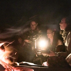 Colheita dos Girassóis (Ensaios)