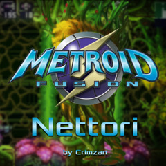 Nettori