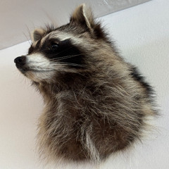 Thee Ballad of Arsenio