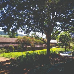 04.03.2022 - Cap. X - Bem Aventurados os Misericordiosos - O Sacrifício Mais Agradável a Deus