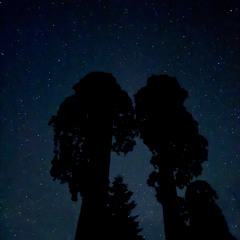 Ambedo (18) [Melodic, Progressive House Mix]