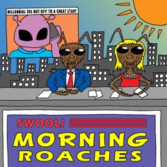 Morning Roaches