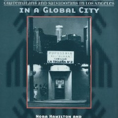 [Book] R.E.A.D Online Seeking Community in a Global City: Guatemalans and Salvadorans in Los