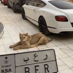 تحتار في وصفك