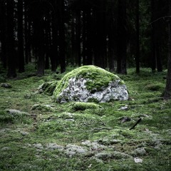 Set In Stone - Mar. 24.14