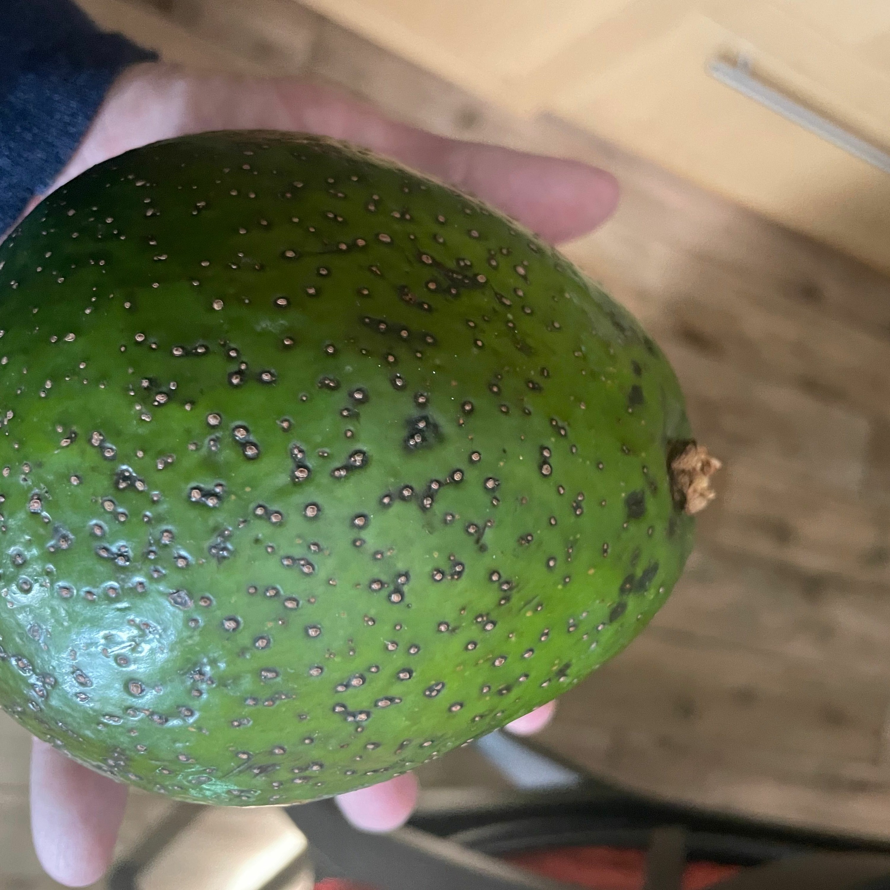 "Ni har aldrig sett en avokado från Sydafrika på det viset"