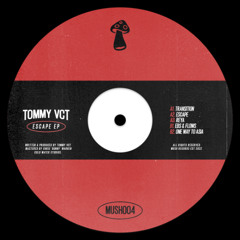 Tommy VCT - Ebs & Flows