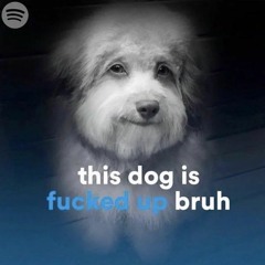 i shit my fucking pants