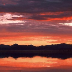 Whats The Deal -Rubin&WIYS