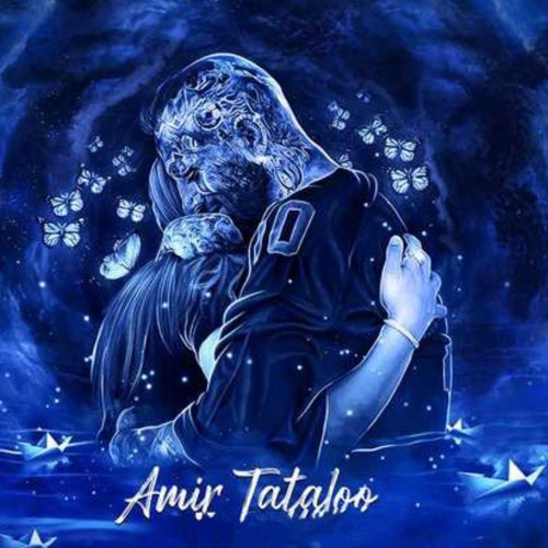 Remix Amir Tataloo & Hayede By EverMusic Ai Remix
