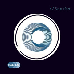 Extended Set @ Radio Blau DJ-Nacht (23.11.24)