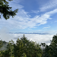 wild mountain.
