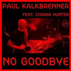 PAUL KALKBRENNER - NO GOODBYE (157BPM Hardtekk BOOTLEG)