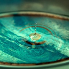 Lost Footsteps at Dawn