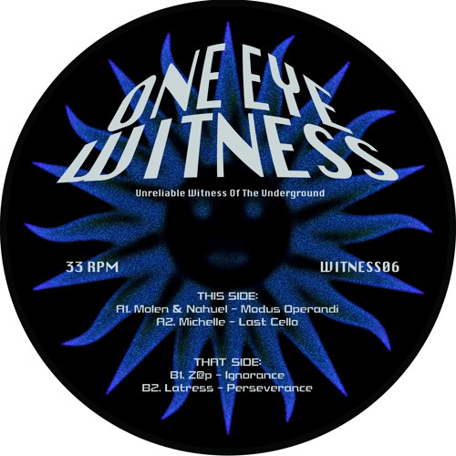 V/A - WITNESS06 - Snippets