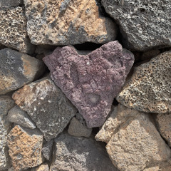 The Third Salamander