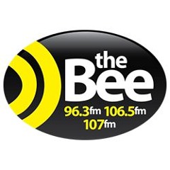 NEW: The Bee (Hot AC) (2015) - Demo - Ignite Jingles