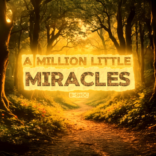 A Million Little Miracles
